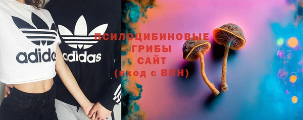 гидропоника Горно-Алтайск