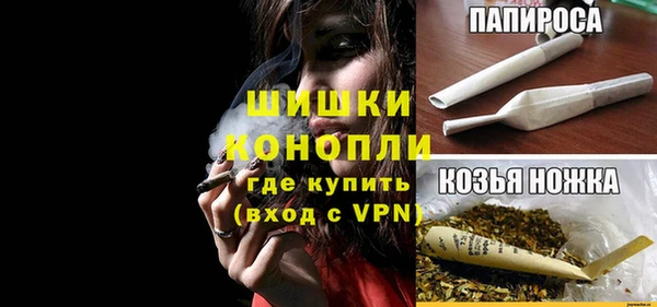 МДПВ Горнозаводск