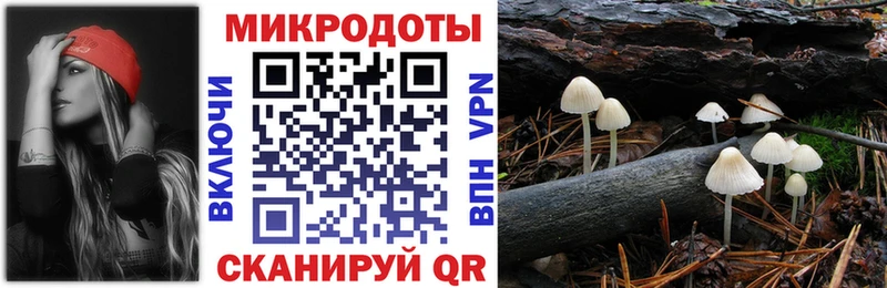 Купить закладки  Киренск  Псилоцибиновые грибы Psilocybe 